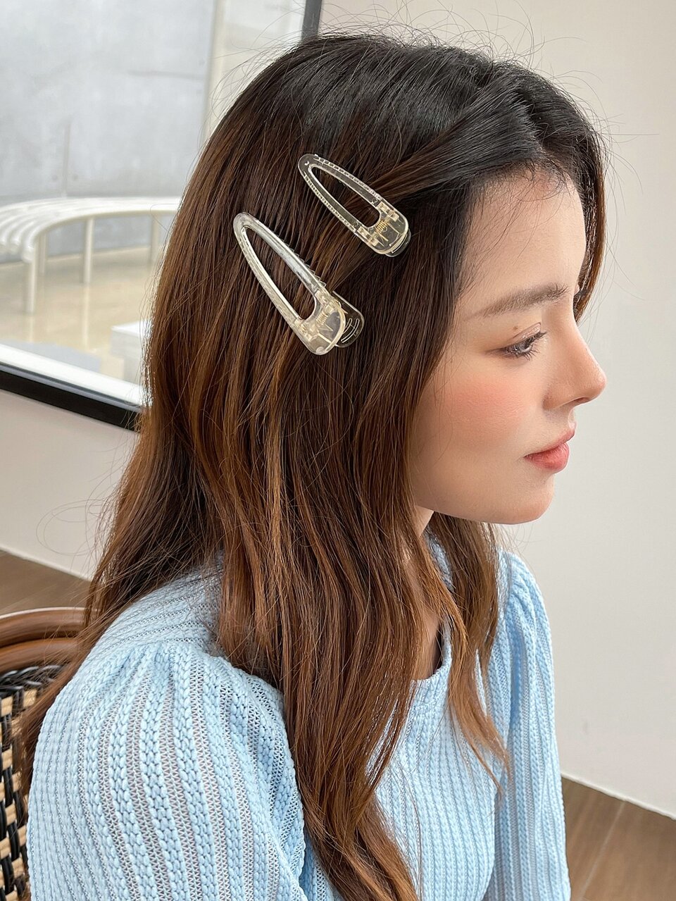 2pcs Clear Alligator Hair Clip