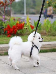 1pc Solid Pet Harness & 1pc Leash - Black - View 2