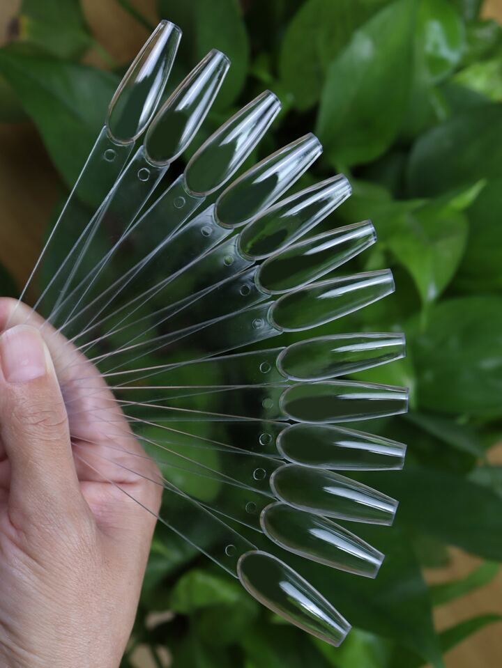 Top more than 116 nail products wholesale south africa best ceg.edu.vn