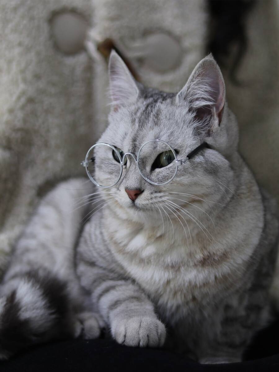 1pair Minimalist Pet Glasses - Silver - View 1
