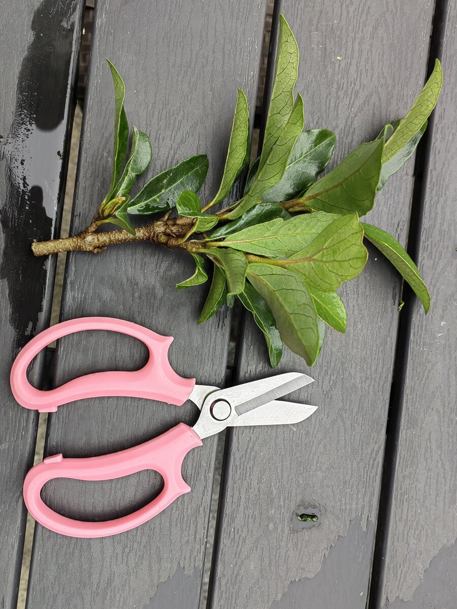 1入組碳素鋼修枝剪 - 彩色 - 查看 1