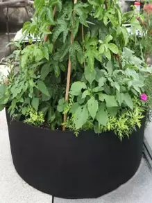 1 pieza Bolsa de cultivo liso - Negro - Ver 4