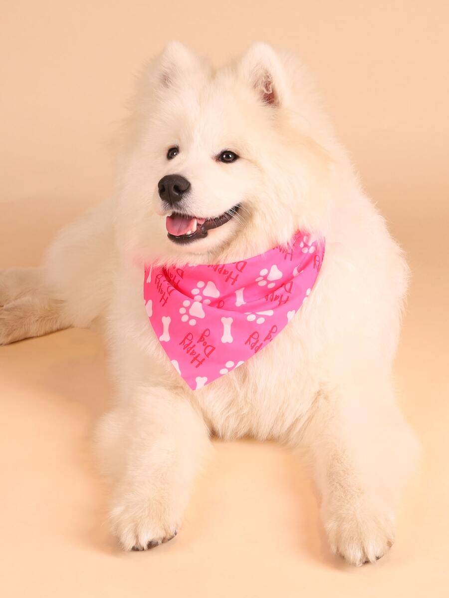 Supet 1入組骨和爪子圖案寵物方巾 - 玫紅色 - 查看 1