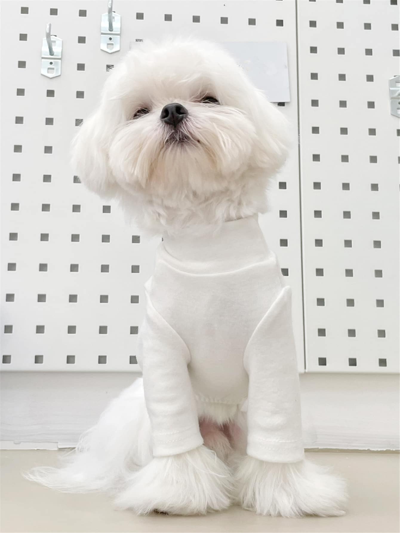 1入組素色寵物T恤衫 - 白色 - 查看 1