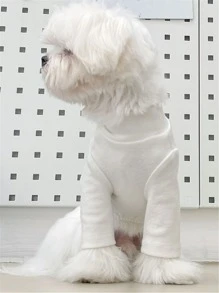 1入組素色寵物T恤衫 - 白色 - 查看 3