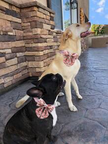 1pc Floral Pattern Pet Collar & 1pc Bow - Pink - View 2