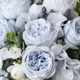 Baby Blue