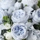 Baby Blue