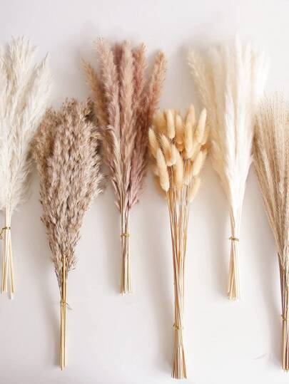 باقة بامباس جافة، ديكور طاولة بوهيمي، زهور جافة ذيل الأرنب، بامباس بني، بامباس بيضاء للزفاف، العائلة، حفلة ريفية، ديكور الحمام، عيد الحب، هدايا عيد الميلاد والتخرج، ديكور الخريف، نباتات اصطناعية