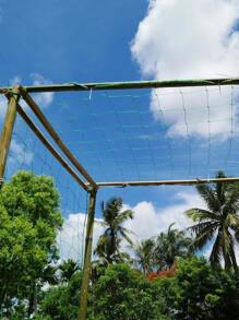 Pergola polyester cho cây leo, lưới tự làm có thể tái sử dụng để trồng cây, đồ dùng làm vườn, cấu trúc hỗ trợ cây trồng - màu xanh lá - Xem 4