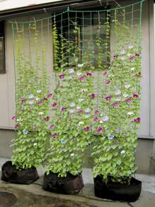 Polyester Pergola For Climbing Plants, Reusable DIY Net For Planting, Garden Supplies, Plant Support Structures - Green - View 1