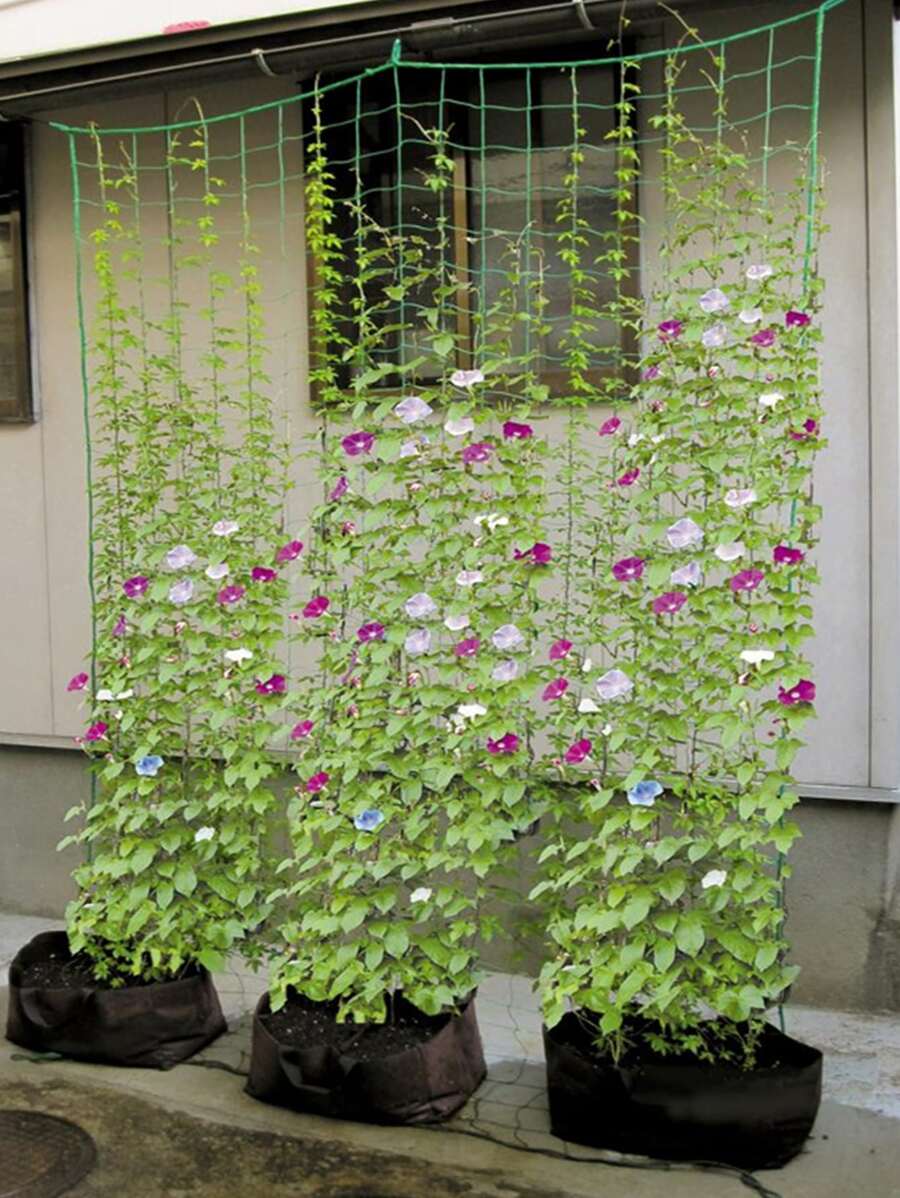 Polyester Pergola For Climbing Plants, Reusable DIY Net For Planting, Garden Supplies, Plant Support Structures - Green - View 1