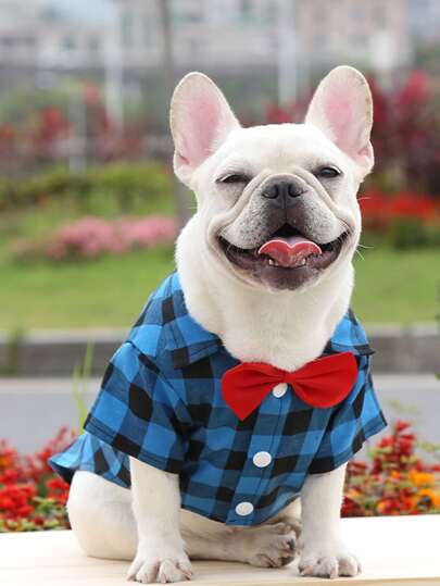 1pc Plaid Pattern Bow Decor Pet Shirt