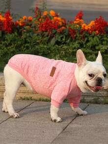 1入組字母貼布寵物運動衫