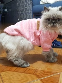 1入組字母貼布寵物運動衫