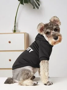 1 chiếc áo hoodie họa tiết chữ cái - Nhiều màu - Xem 5