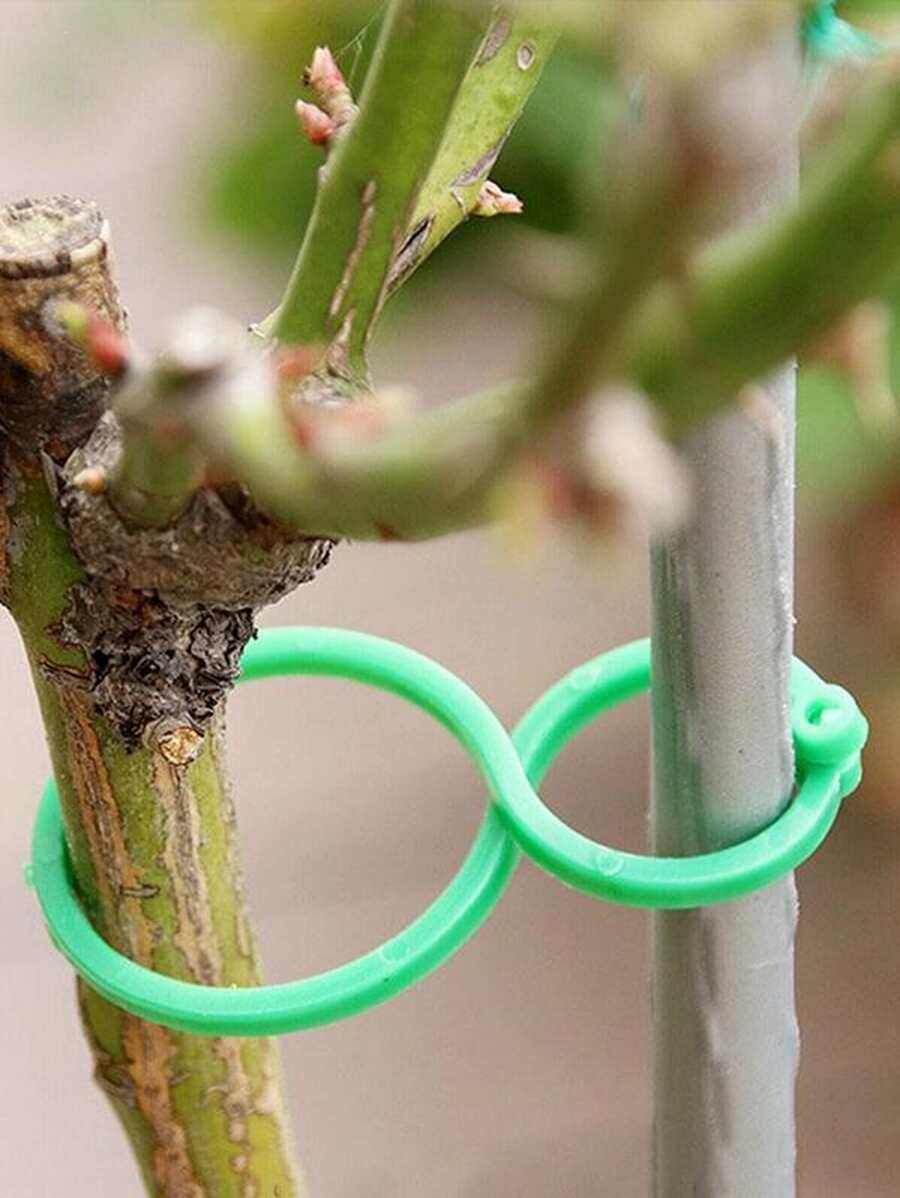 20pcs Green Plant Fixed Clip, Simple Plastic Plant Climbing Wall Fixture Clip For Outdoor, Garden - Green - View 1