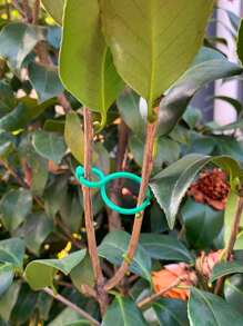 20pcs Green Plant Fixed Clip, Simple Plastic Plant Climbing Wall Fixture Clip For Outdoor, Garden - Green - View 5