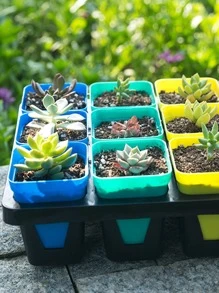10 cái Hộp đựng cây màu ngẫu nhiên - Nhiều màu - Xem 4