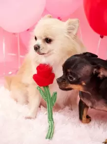 1pc Realistic Artificial Rose Flower, Quiet Interactive Toy For Small/Medium Dogs & Cats, Pet Companion For Daily Play, Suitable For Wedding Photography, Valentine's Day - Multicolor - View 1