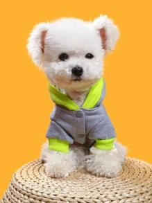 1pc Cartoon Dinosaur Embroidered Pet Coat - Grey - View 2