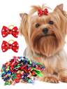 Accesorios para Mascotas