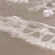 trắng