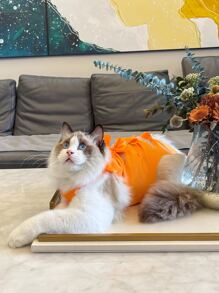 1pc Bow Decor Pet Recovery Suit - Orange - View 3