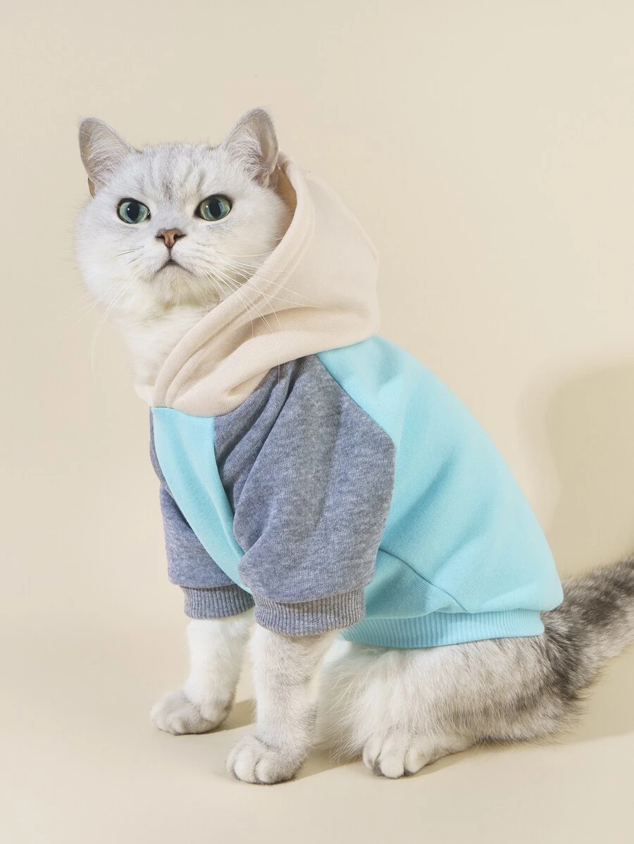 PETSIN 1pc Color Block Pet Hoodie For Cats - Soft Color Block Hoodie For Cats; Designed For Cooler Seasons, Home Lounging, Autumn Park Strolls, Holiday Gatherings, And Adorable Social Media Photos.