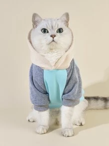 PETSIN 1pc Color Block Pet Hoodie For Cats - Soft Color Block Hoodie For Cats; Designed For Cooler Seasons, Home Lounging, Autumn Park Strolls, Holiday Gatherings, And Adorable Social Media Photos.
