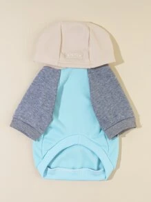 PETSIN 1pc Color Block Pet Hoodie For Cats - Soft Color Block Hoodie For Cats; Designed For Cooler Seasons, Home Lounging, Autumn Park Strolls, Holiday Gatherings, And Adorable Social Media Photos.