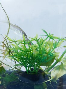 1入組人造植物設計魚缸裝飾品，塑料水族箱植物，人造塑料魚缸植物裝飾 - 橄欖綠 - 查看 2
