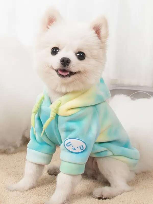 1入組紮染寵物連帽衫
