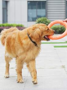 1 件字母图案猫/狗爱好者礼物和狗/猫妈妈爱宠物训练戒指