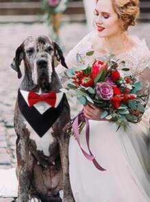 1pc Bow Decor Pet Bandana - Red and White - View 2