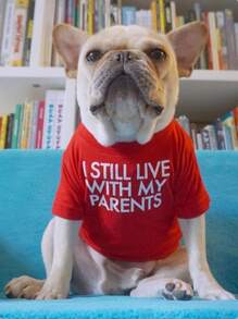 1pc Slogan Graphic Pet Tee - Red - View 1