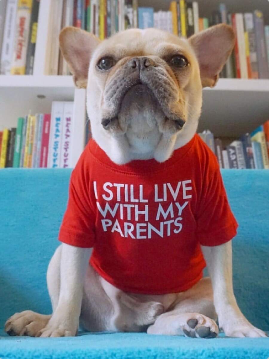 1pc Slogan Graphic Pet Tee - Red - View 1