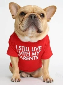 1pc Slogan Graphic Pet Tee - Red - View 2