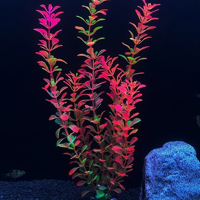 1入組塑料水族箱景觀模擬水生植物