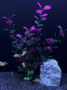 1 Nhân Tạo Vật Có Thiết Kế Trang Trí Bể Cá, Nhựa Bể Cá Thực Vật, Nhựa Nhân Tạo Cá Thực Vật Trang Trí - Nhiều màu - Xem 1