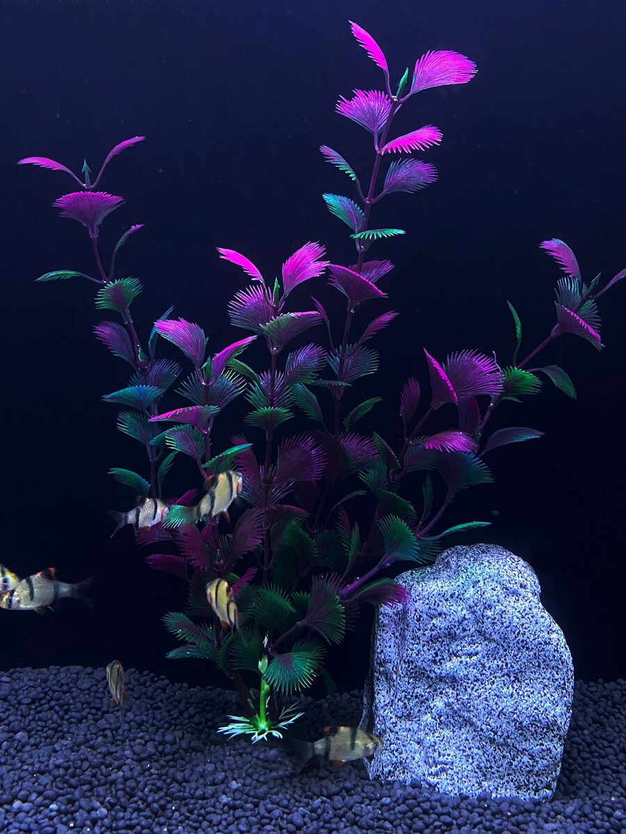 1 Nhân Tạo Vật Có Thiết Kế Trang Trí Bể Cá, Nhựa Bể Cá Thực Vật, Nhựa Nhân Tạo Cá Thực Vật Trang Trí - Nhiều màu - Xem 1