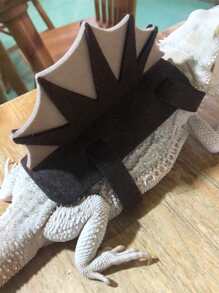 4 piezas Disfraz lagartija dinosaurio - Marrón - Ver 5