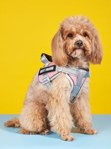 1 pieza Arnés para mascotas reflectante