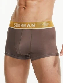 Men Letter Graphic Boxer Brief - Mocha Brown - View 5