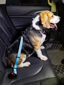 1入組可調節隨機色寵物汽車安全帶