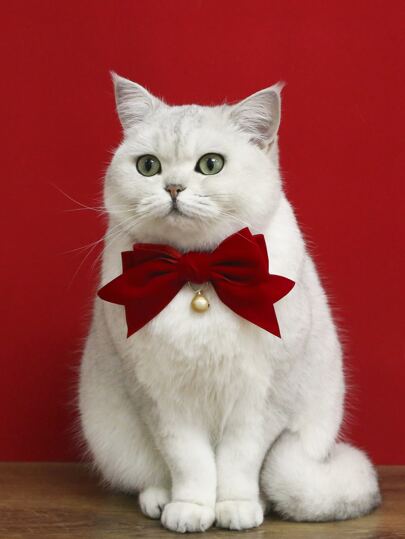1pc Bow Decor Pet Necklace