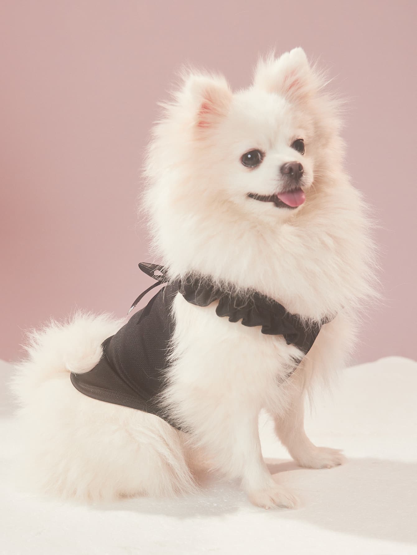 ROMWE 1 pieza Tank de mascota con diseño de lazo - Negro - Ver 1