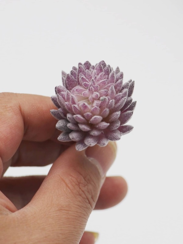 1pc PVC Artificial Plant, Simulation Succulent For Home