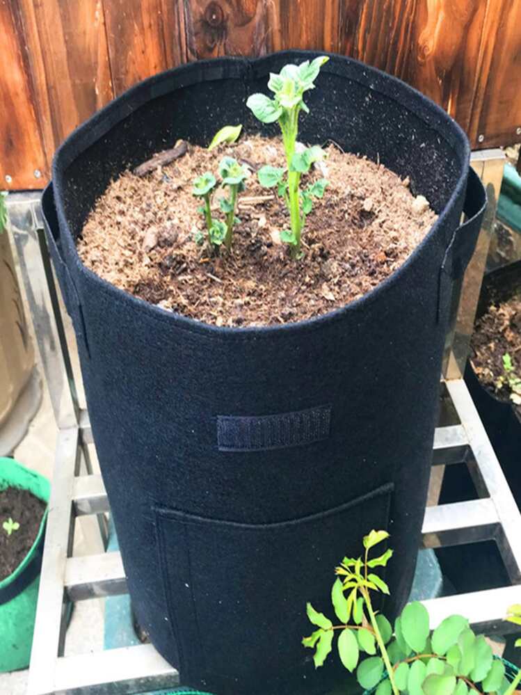 1pc Plant Grow Bags Home Garden Potato Pot Greenhouse Vegetable Growing Bags Moisturizing Garden Vertical Garden Bag Tools - Multicolor - View 3