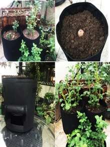 1 件装植物种植袋家庭花园土豆花盆温室蔬菜种植袋保湿花园垂直花园袋工具